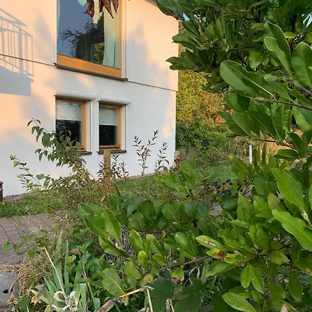 Wertheimer Gast -mit Sauna-